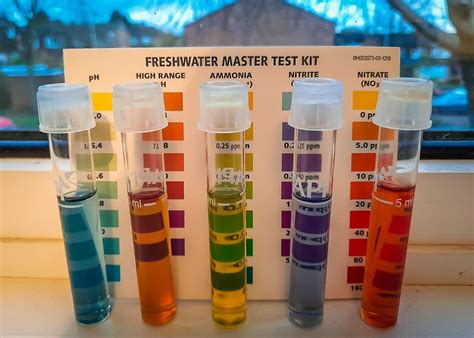 3 water quality tests|best way to test water quality.